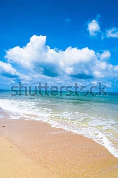  артикул 10051373