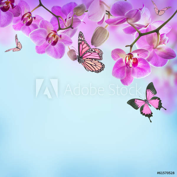  артикул 10051463