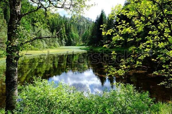  артикул 10052248