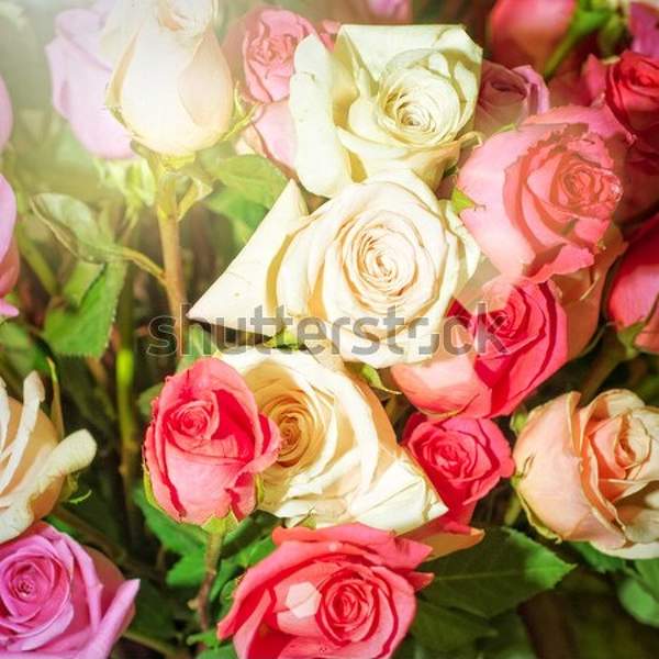  артикул 10052263
