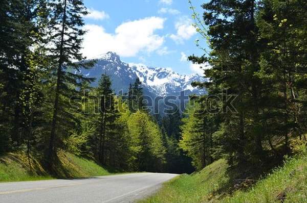  артикул 10052377