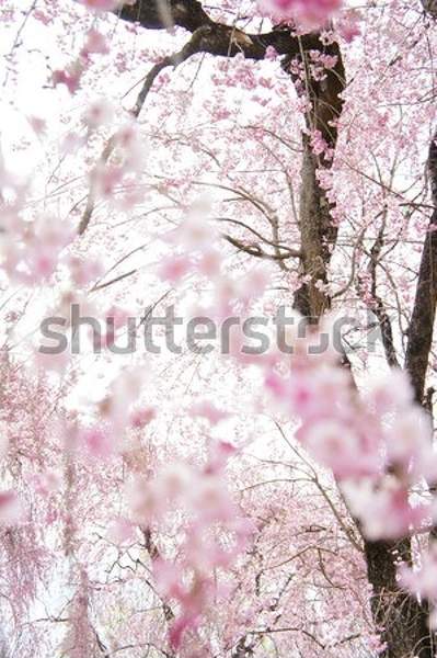  артикул 10052523