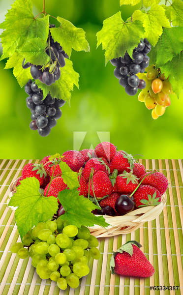  артикул 10052540