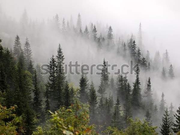  артикул 10052692