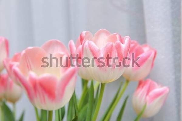  артикул 10052727