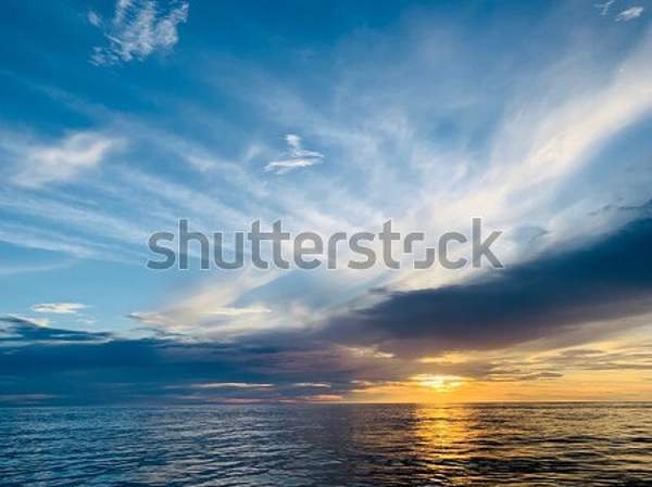  артикул 10052786