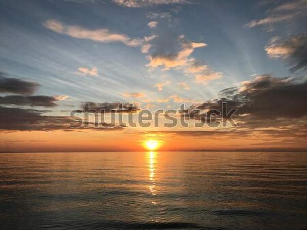  артикул 10053179