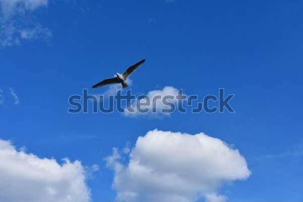  артикул 10053270