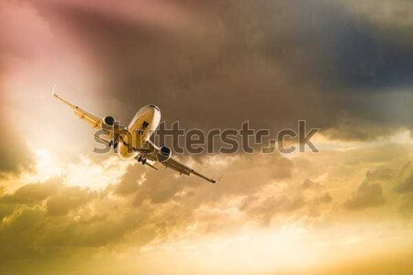  артикул 10053820