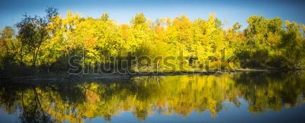  артикул 10053840