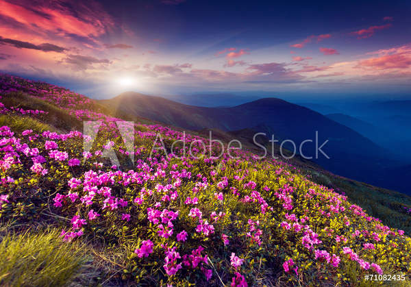  артикул 10053833
