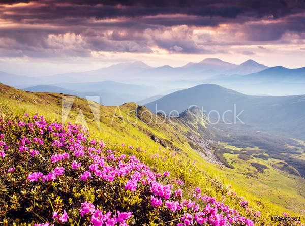  артикул 10053970