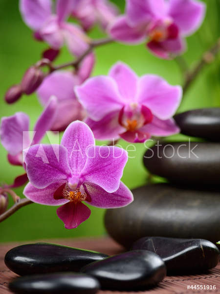  артикул 10053965