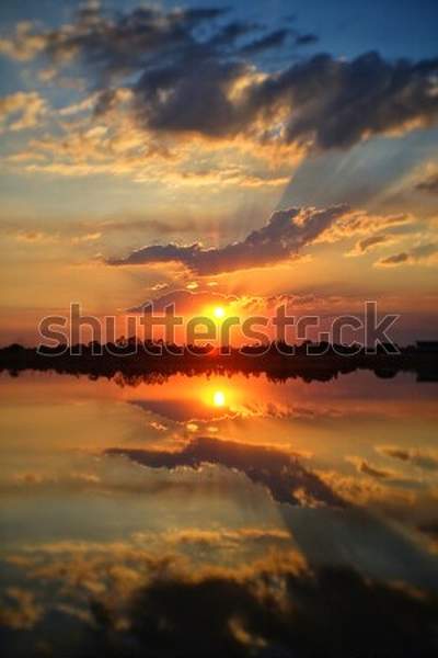  артикул 10054065