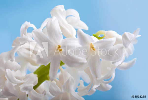  артикул 10054166