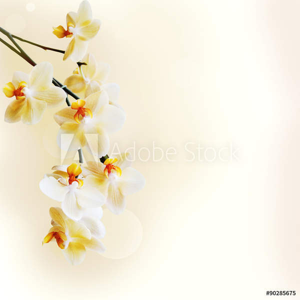  артикул 10054170