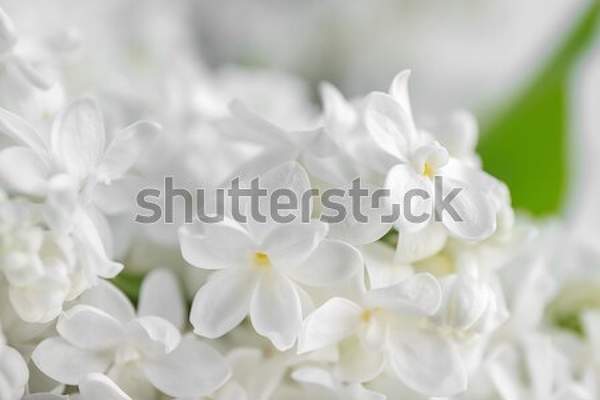  артикул 10054309