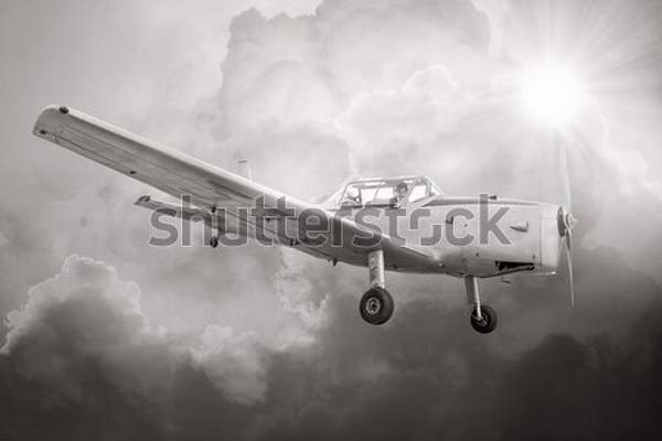  артикул 10054359