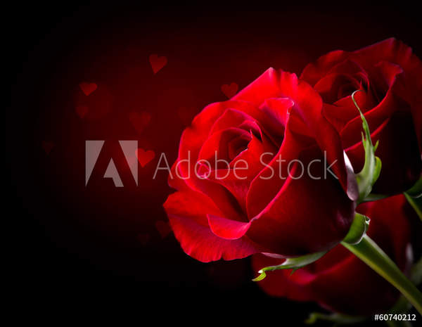  артикул 10054352