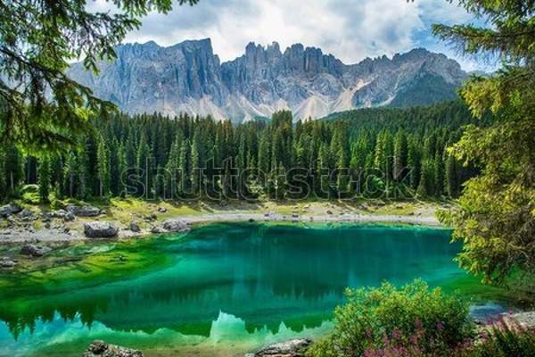  артикул 10054474