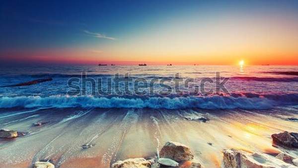  артикул 10054499