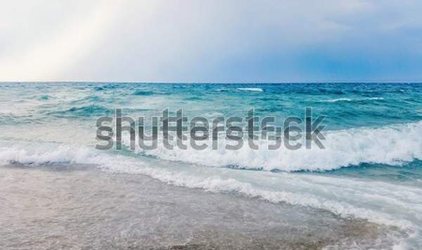  артикул 10054545