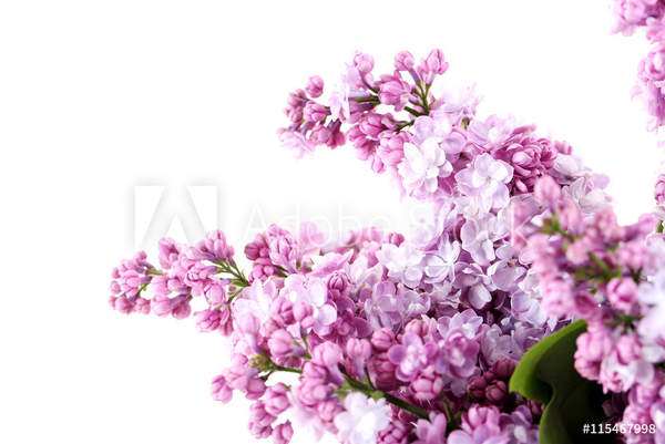  артикул 10054539