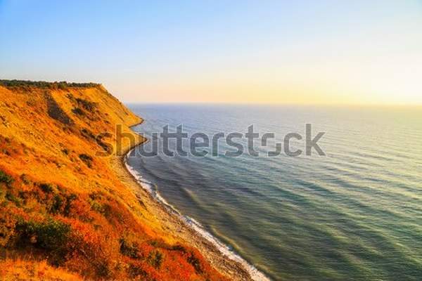  артикул 10054544