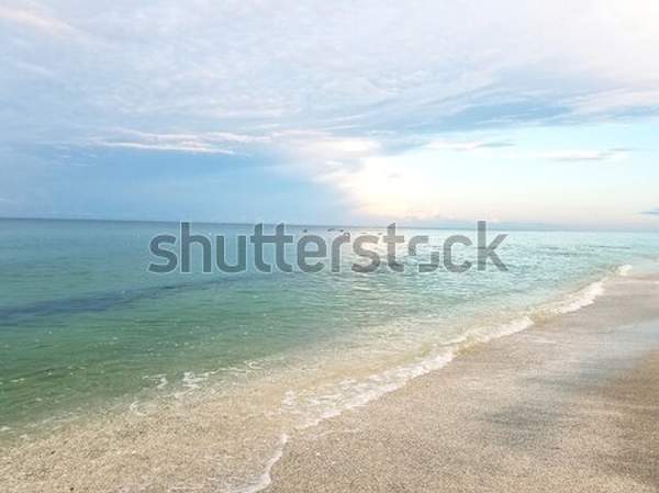  артикул 10054546