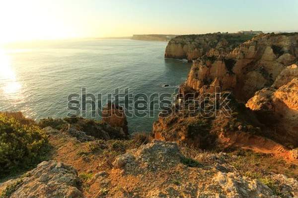  артикул 10054667