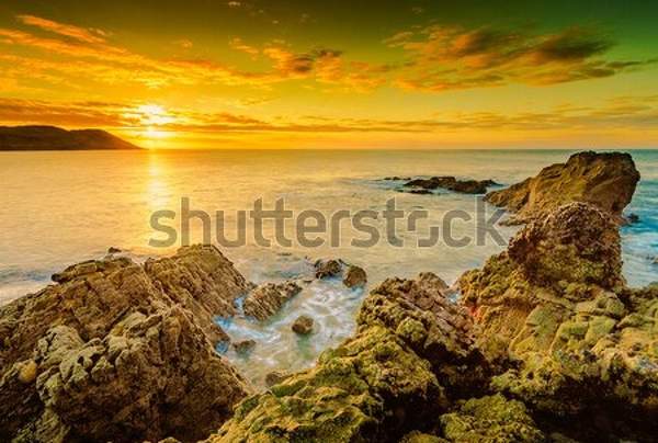  артикул 10054673