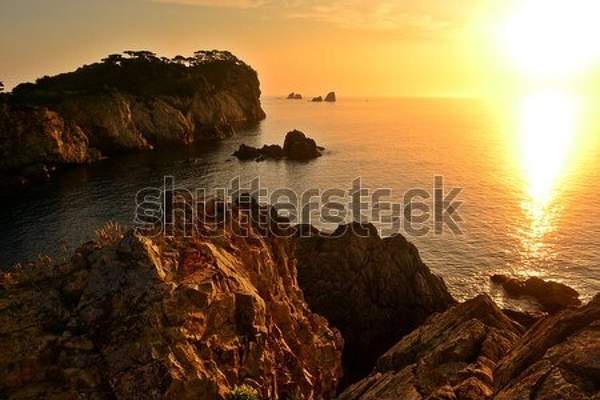  артикул 10054671