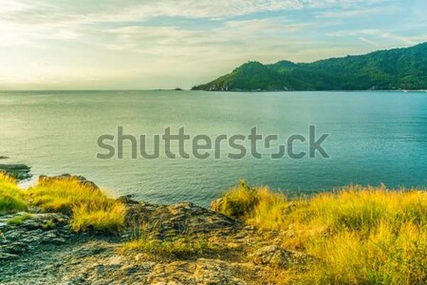  артикул 10054737