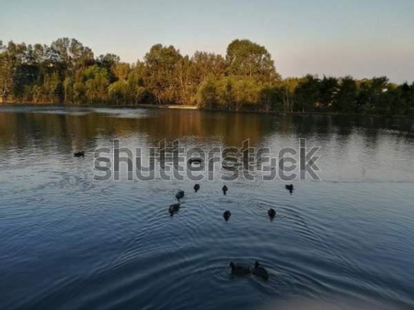  артикул 10054875