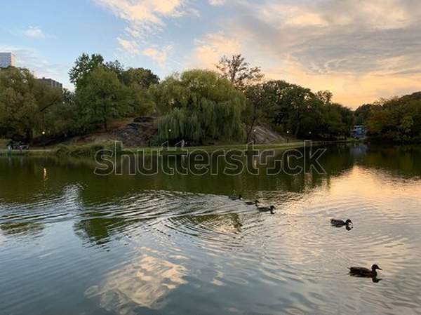  артикул 10054870
