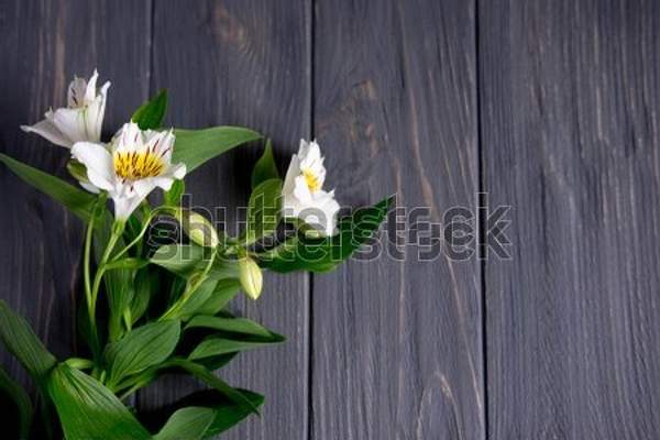  артикул 10055006