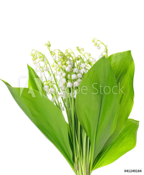  артикул 10055003