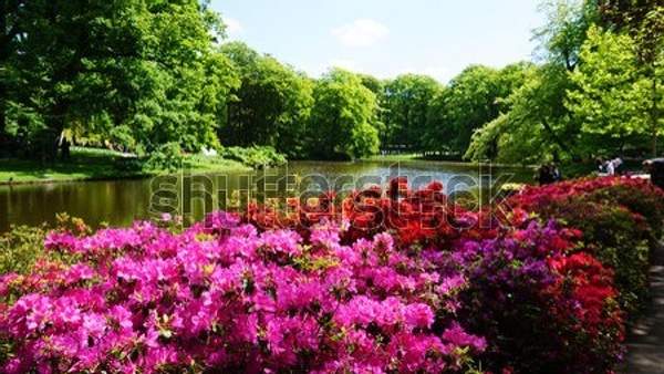  артикул 10055068