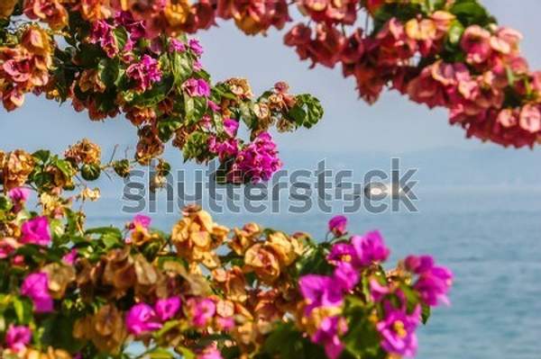  артикул 10055035