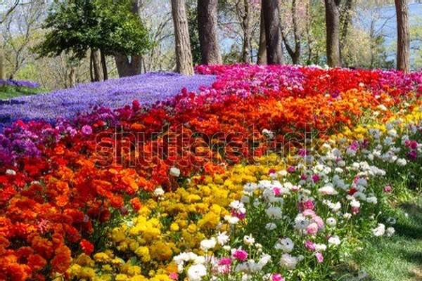  артикул 10055099