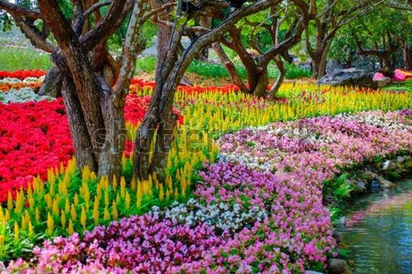  артикул 10055096