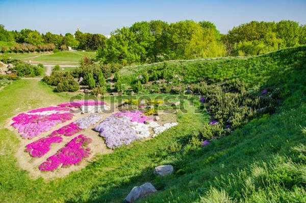  артикул 10055087