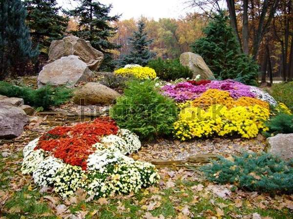  артикул 10055167