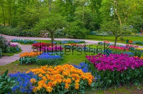  артикул 10055158