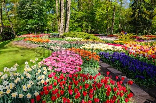  артикул 10055114