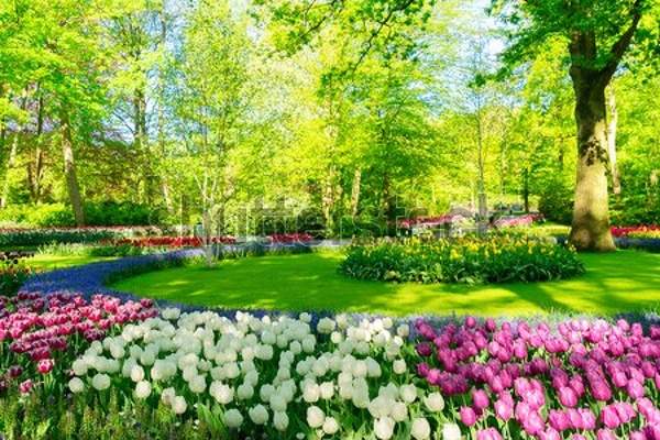  артикул 10055156