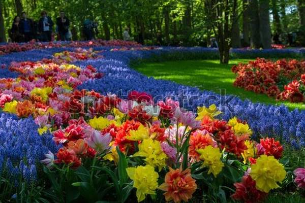  артикул 10055105
