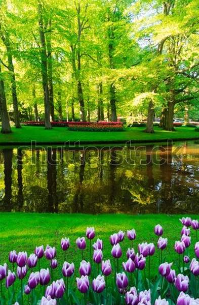  артикул 10055143