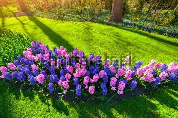  артикул 10055146