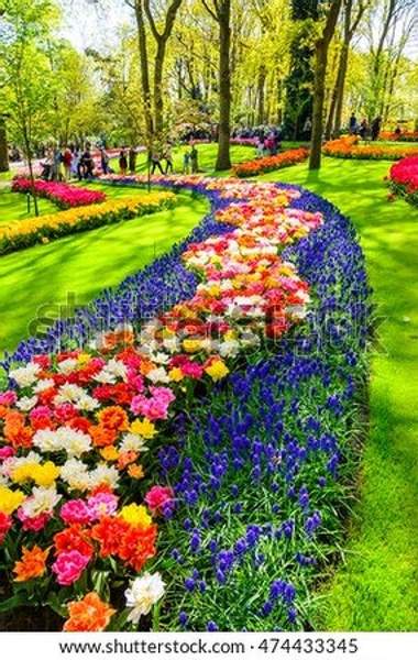  артикул 10055108